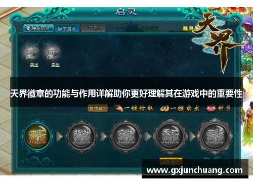 天界徽章的功能与作用详解助你更好理解其在游戏中的重要性